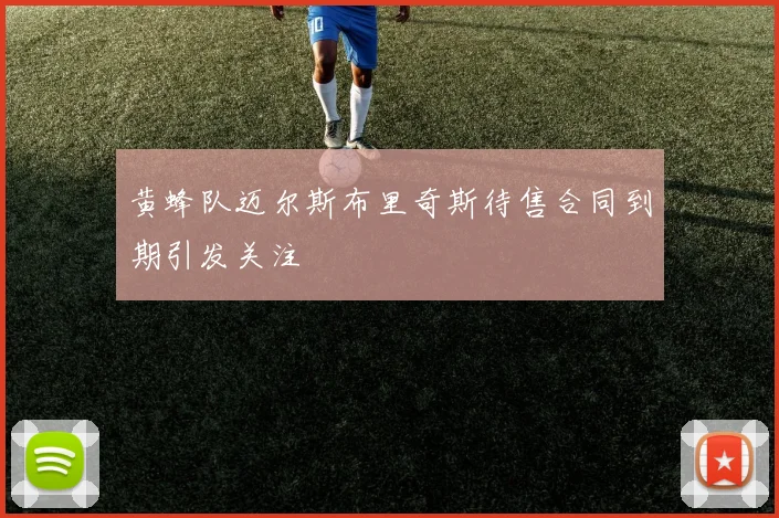 黄蜂队迈尔斯布里奇斯待售合同到期引发关注